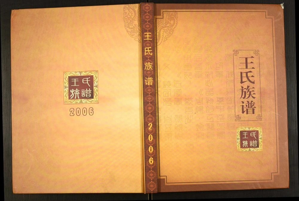 图片[1]-辽宁盘锦大洼区王氏族谱电子版PDF下载-中华家谱网