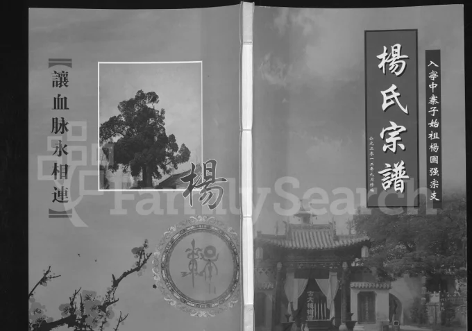 宁夏灵武杨氏宗谱入宁中寨子始祖杨国强宗支-中华家谱网