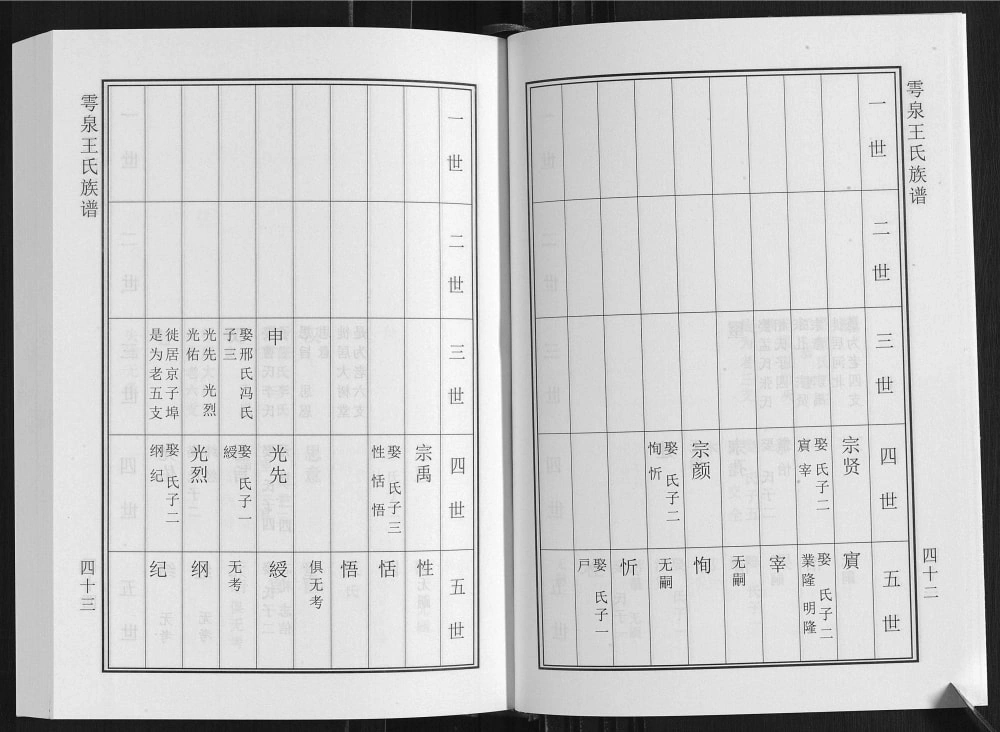 图片[8]-山东诸城雩泉王氏族谱电子版PDF下载-中华家谱网