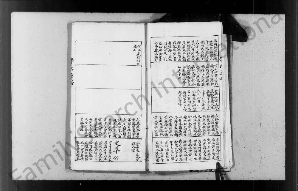 图片[6]-李氏纶恩堂廷芳公下应明公派支谱电子版PDF下载-中华家谱网