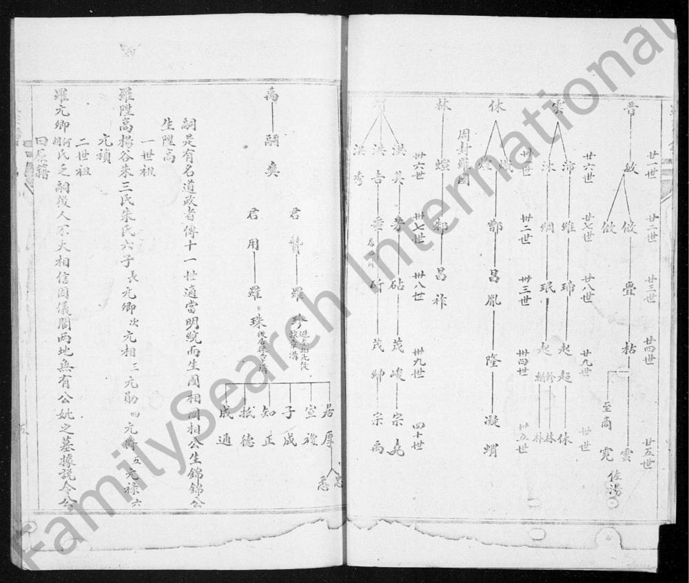 图片[4]-四川阆中罗氏族谱电子版PDF下载-中华家谱网