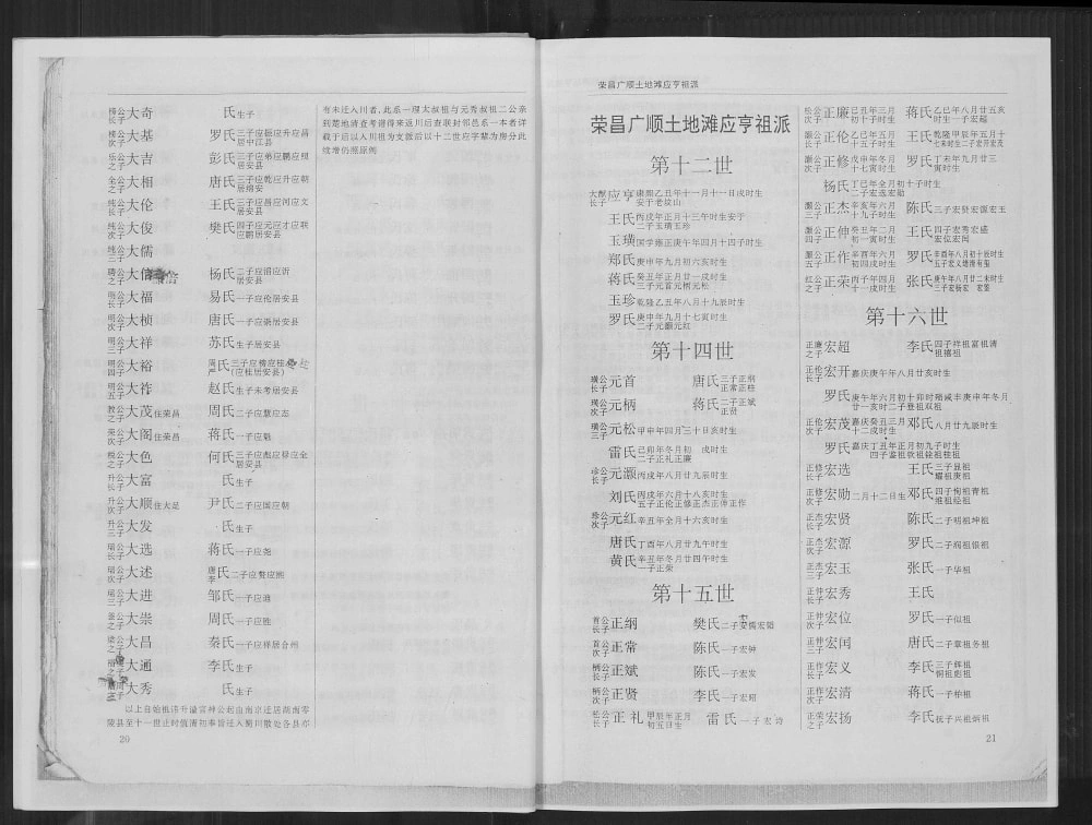 图片[8]-四川内江东兴区高氏族谱电子版PDF下载-中华家谱网