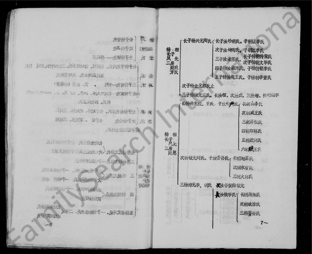 图片[6]-四川资阳杨氏家谱电子版PDF下载-中华家谱网