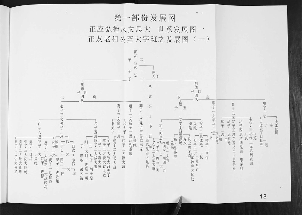 图片[8]-重庆潼南区张氏族谱电子版PDF下载-中华家谱网