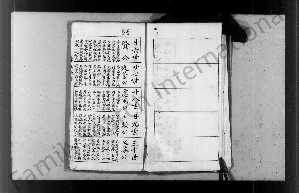 图片[5]-李氏纶恩堂廷芳公下应明公派支谱电子版PDF下载-中华家谱网