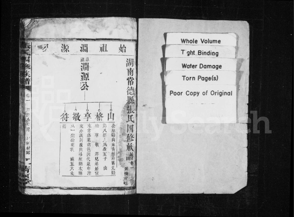 图片[5]-湖南常德张氏四修族谱（清河堂）电子版PDF下载-中华家谱网