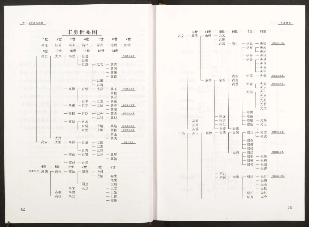 图片[5]-湖南常德澧县澧州四修高氏族谱（渤海堂）电子版PDF下载-中华家谱网