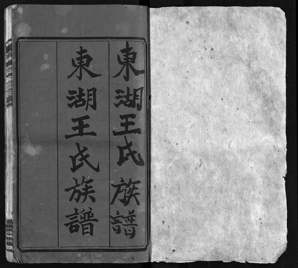 图片[1]-湖南长沙宁乡县楚南沩宁东湖王氏六修族谱（孝友堂）电子版PDF下载-中华家谱网