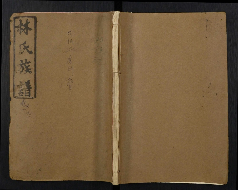 图片[1]-江西宜春萍乡万载安福林氏族谱（忠孝堂）电子版PDF下载-中华家谱网