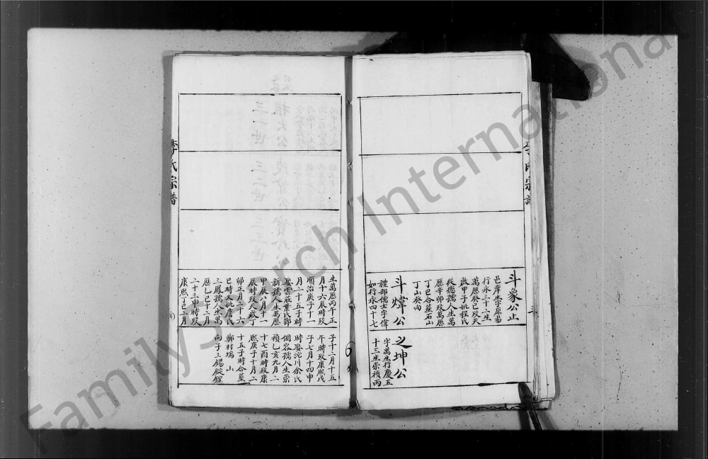 图片[8]-李氏纶恩堂廷芳公下应明公派支谱电子版PDF下载-中华家谱网