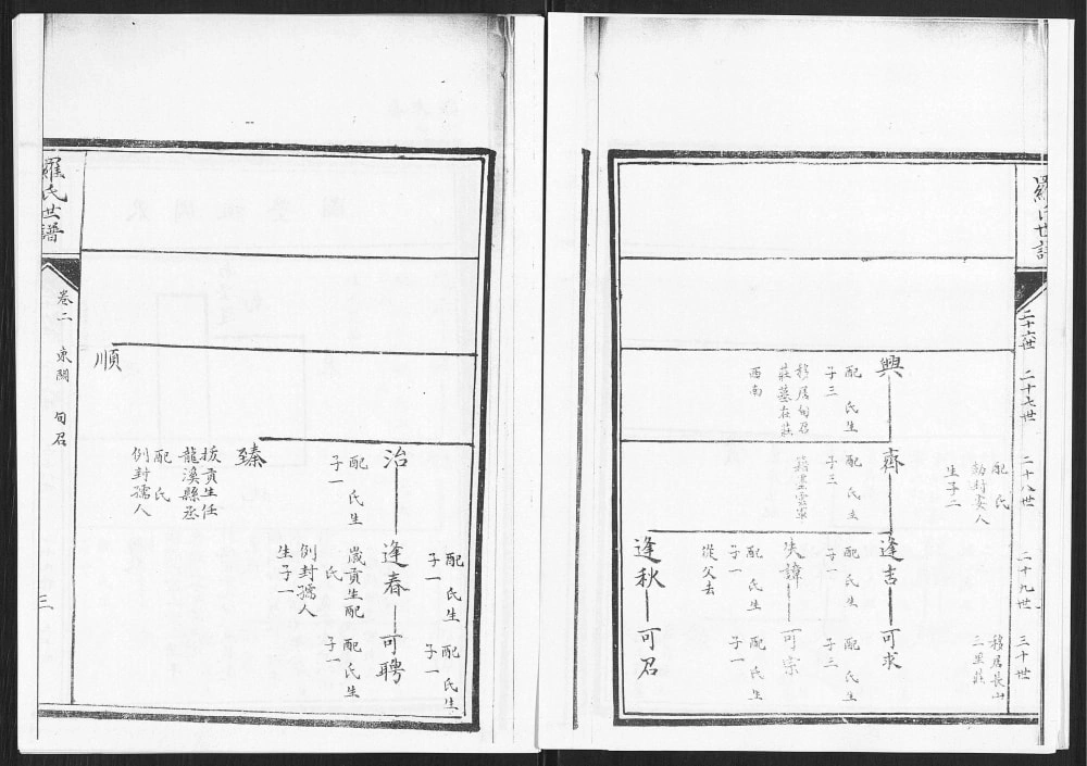 图片[8]-山东淄博桓台罗氏世谱电子版PDF下载-中华家谱网
