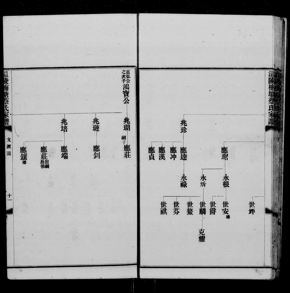 图片[8]-澳门闽省晋江梅塘蔡氏迁粤家谱电子版PDF下载-中华家谱网