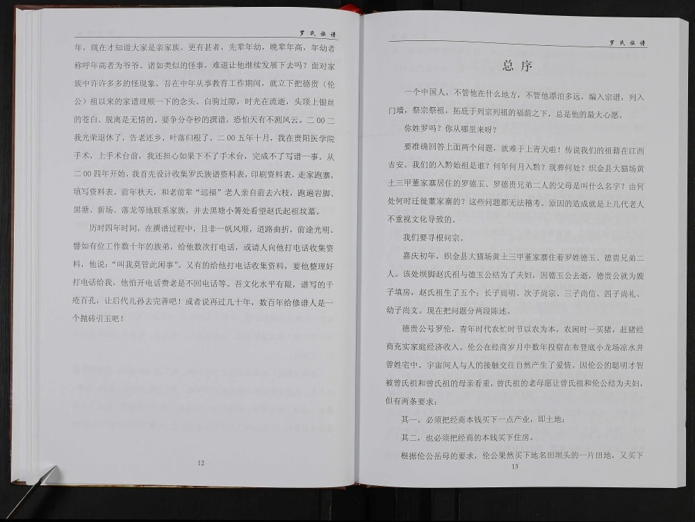 图片[3]-贵州六枝织金罗氏族谱电子版PDF下载-中华家谱网