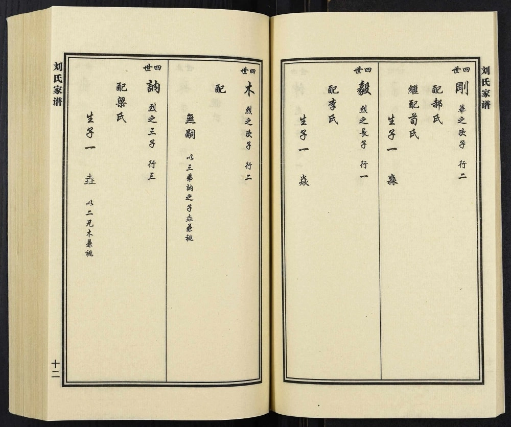 图片[8]-河北廊坊大城县旺村镇旺村刘氏家谱电子版PDF下载-中华家谱网