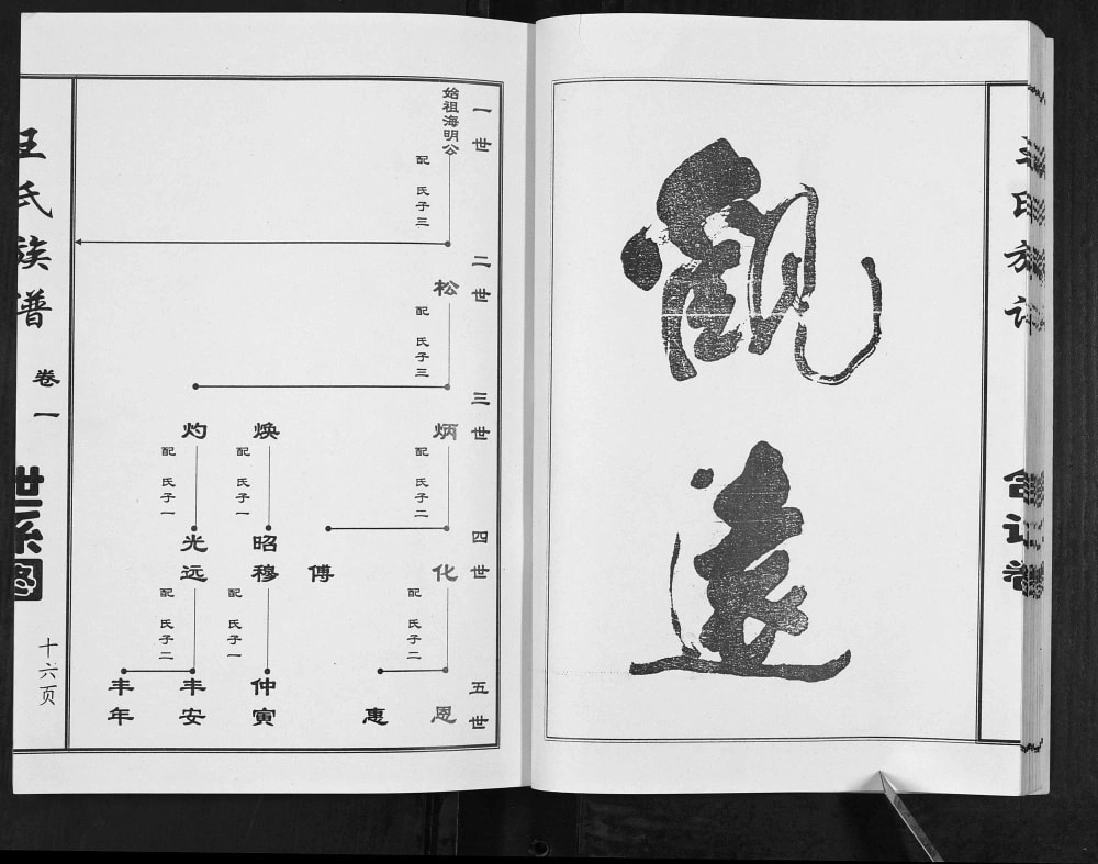 图片[7]-山东济宁微山县王氏族谱电子版PDF下载-中华家谱网