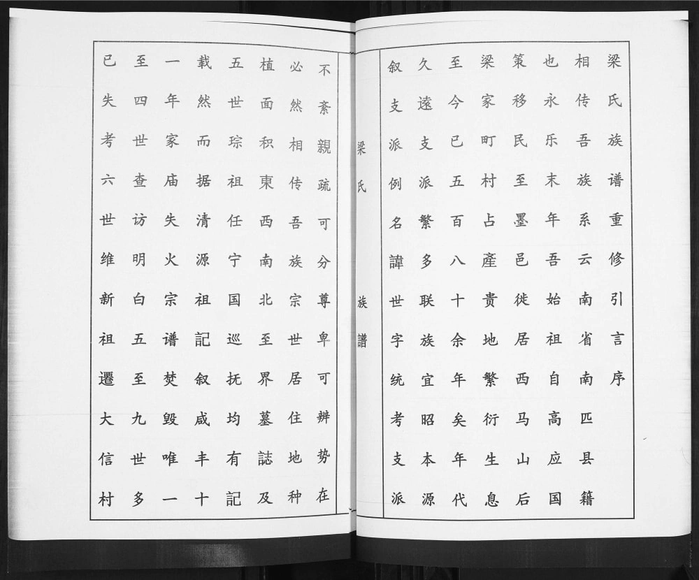 图片[4]-山东青岛即墨任家屯梁氏族谱电子版PDF下载-中华家谱网