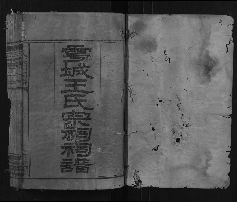 图片[2]-江西赣州于都县雩城王氏宗祠祠谱（世瑞堂）电子版PDF下载-中华家谱网