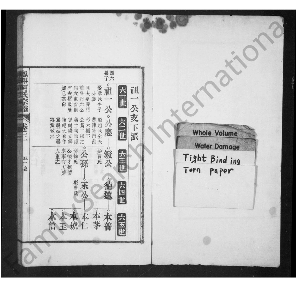 图片[8]-安徽芜湖南陵县凤洲何氏宗谱电子版PDF下载-中华家谱网