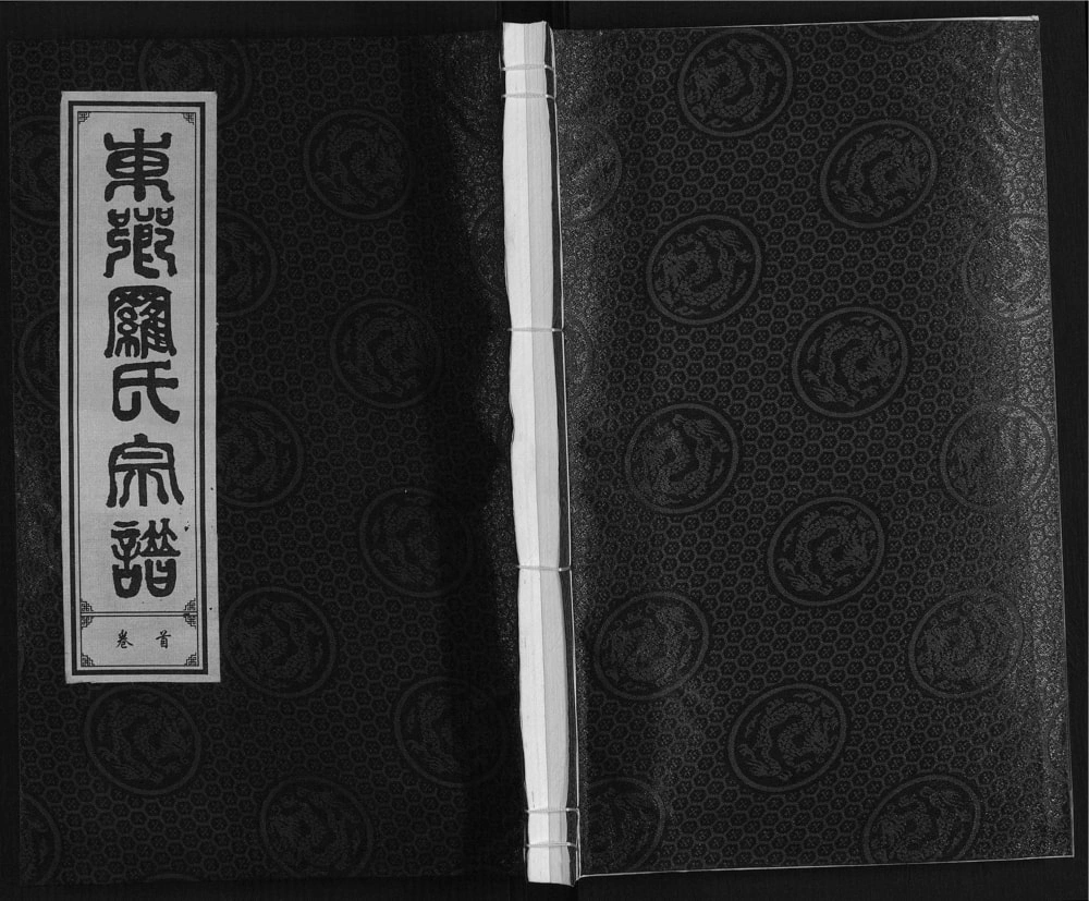 图片[1]-安徽合肥东乡罗氏宗谱（芝雀堂）电子版PDF下载-中华家谱网