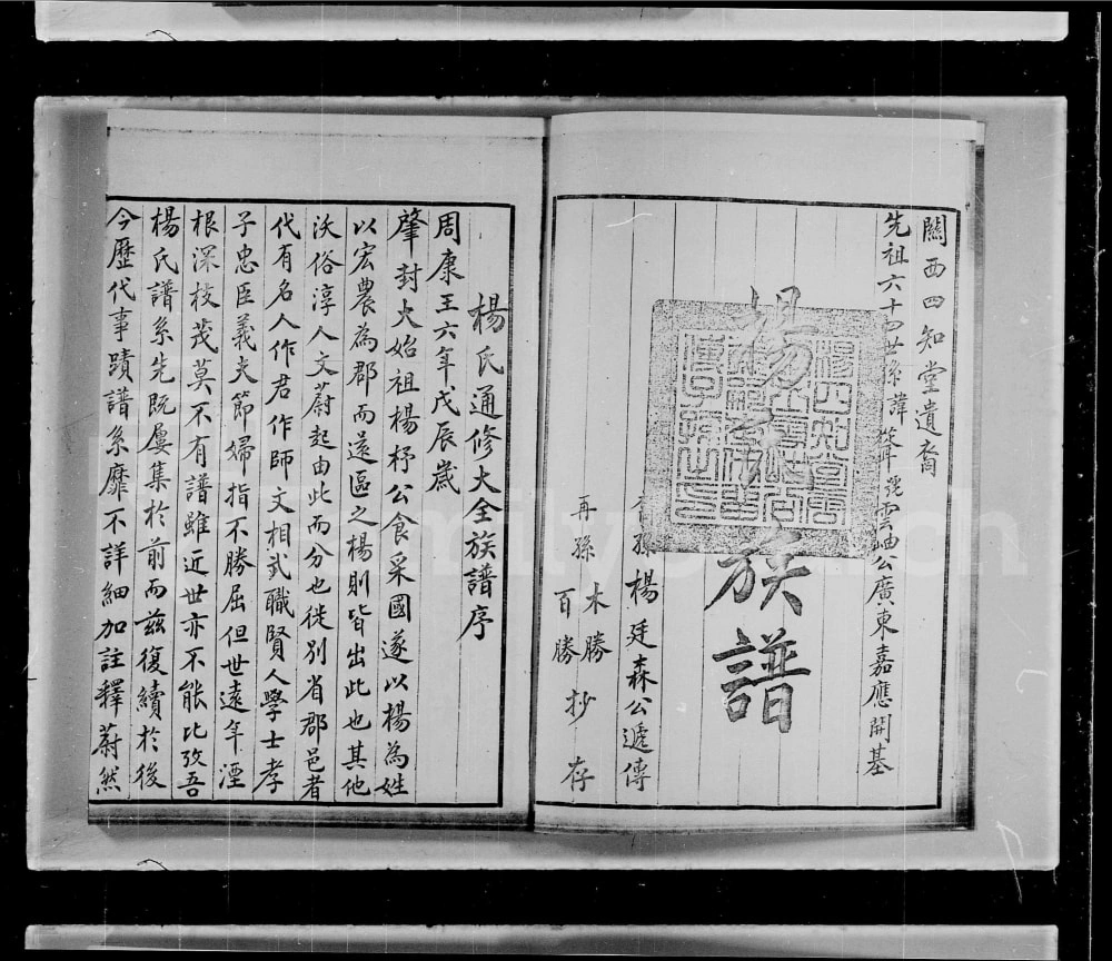 图片[2]-广东深圳宝安杨氏族谱电子版PDF下载-中华家谱网