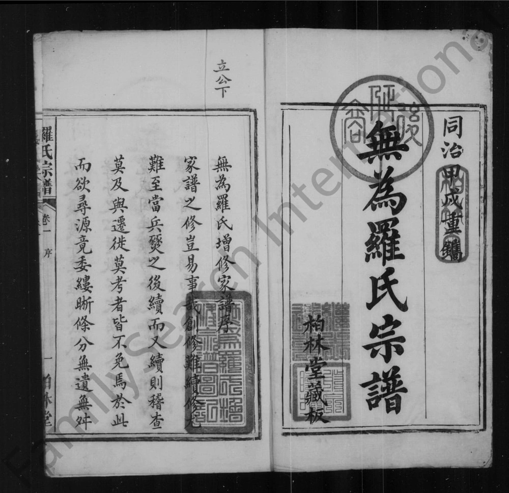 图片[2]-安徽无为罗氏四修宗谱（柏林堂）电子版PDF下载-中华家谱网