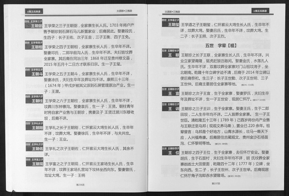 图片[6]-贵州仁怀王氏族谱（三槐堂）电子版PDF下载-中华家谱网