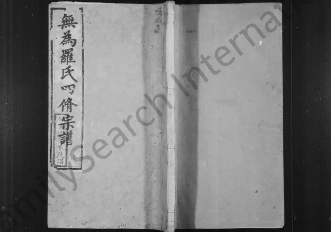 安徽无为罗氏四修宗谱（柏林堂）电子版PDF下载-中华家谱网