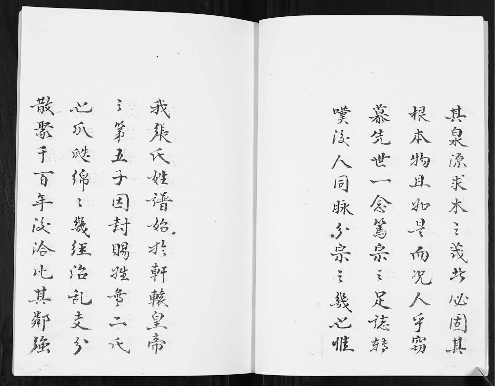 图片[3]-云南昭通镇雄县张氏宗族谱（百忍堂）电子版PDF下载-中华家谱网