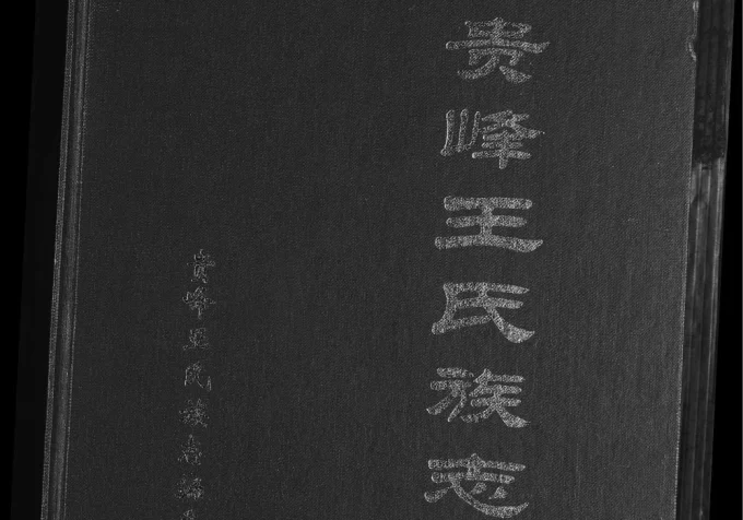 福建南安贵峰王氏族志电子版PDF下载-中华家谱网