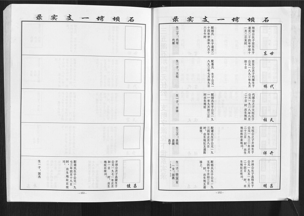 图片[7]-重庆万州新袁袁家桥陈氏族谱电子版PDF下载-中华家谱网