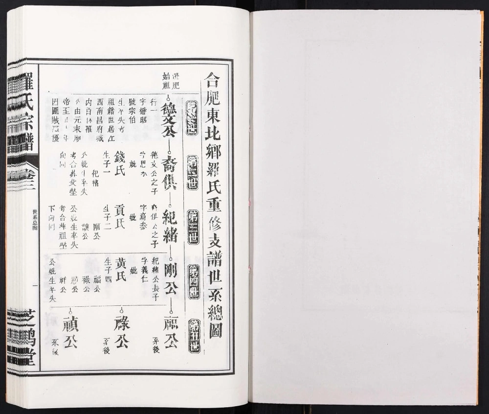 图片[6]-安徽合肥罗氏支谱娘娘庙（芝鹤堂）电子版PDF下载-中华家谱网