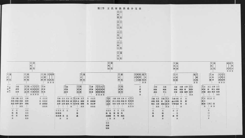 图片[5]-黑龙江哈尔滨巴彦县王氏家谱电子版PDF下载-中华家谱网