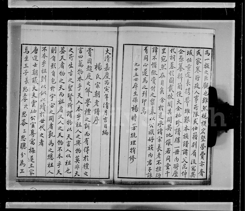 图片[3]-广东深圳宝安杨氏族谱电子版PDF下载-中华家谱网