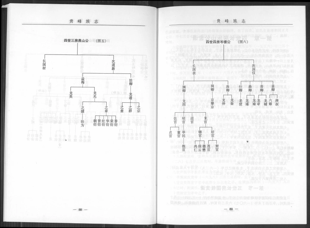 图片[6]-福建南安贵峰王氏族志电子版PDF下载-中华家谱网