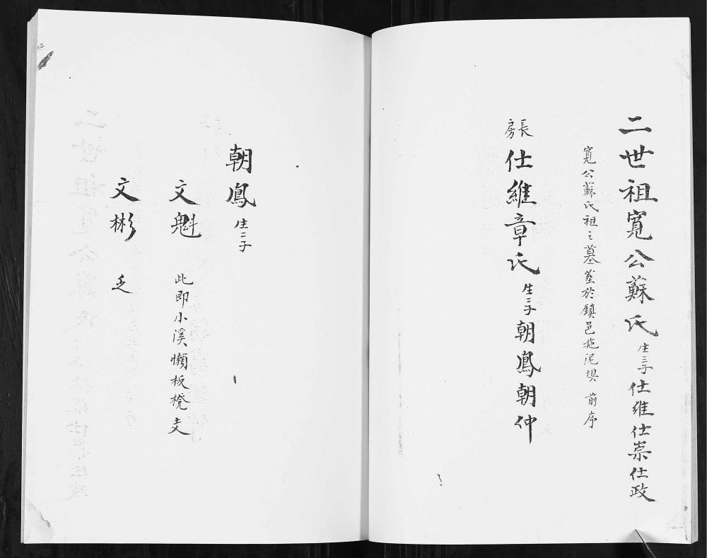 图片[6]-云南昭通镇雄县张氏宗族谱（百忍堂）电子版PDF下载-中华家谱网