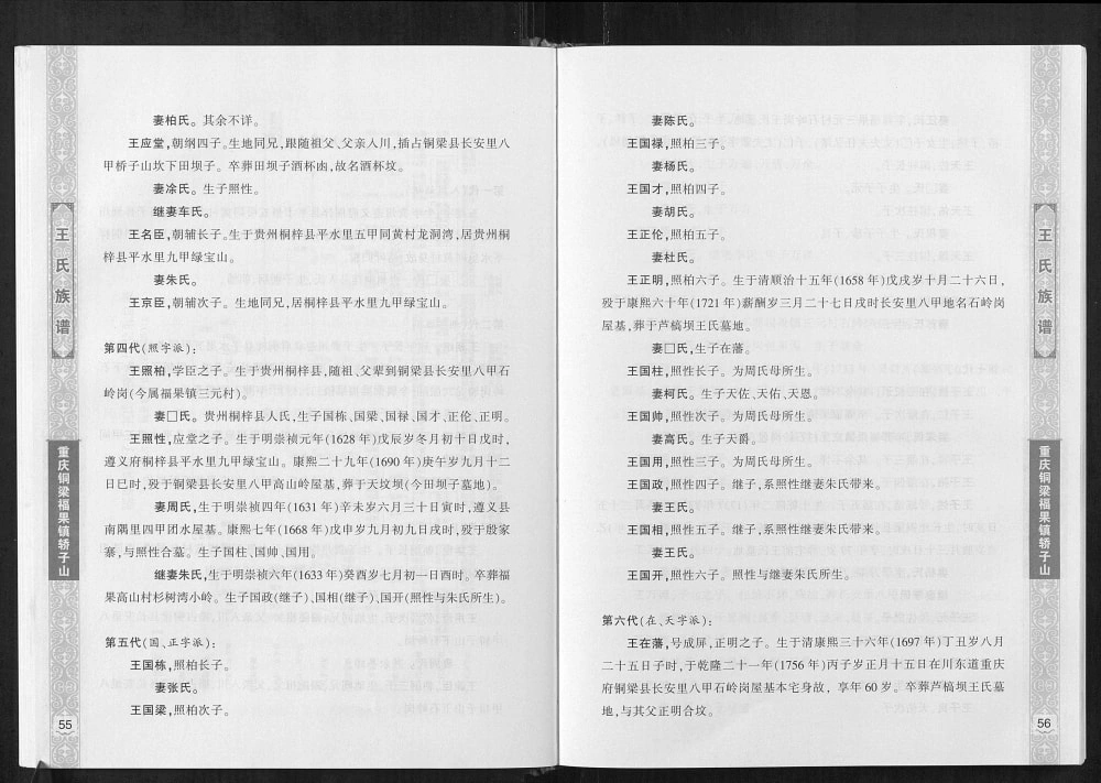 图片[6]-重庆铜梁区福果镇轿子山王氏族谱电子版PDF下载-中华家谱网