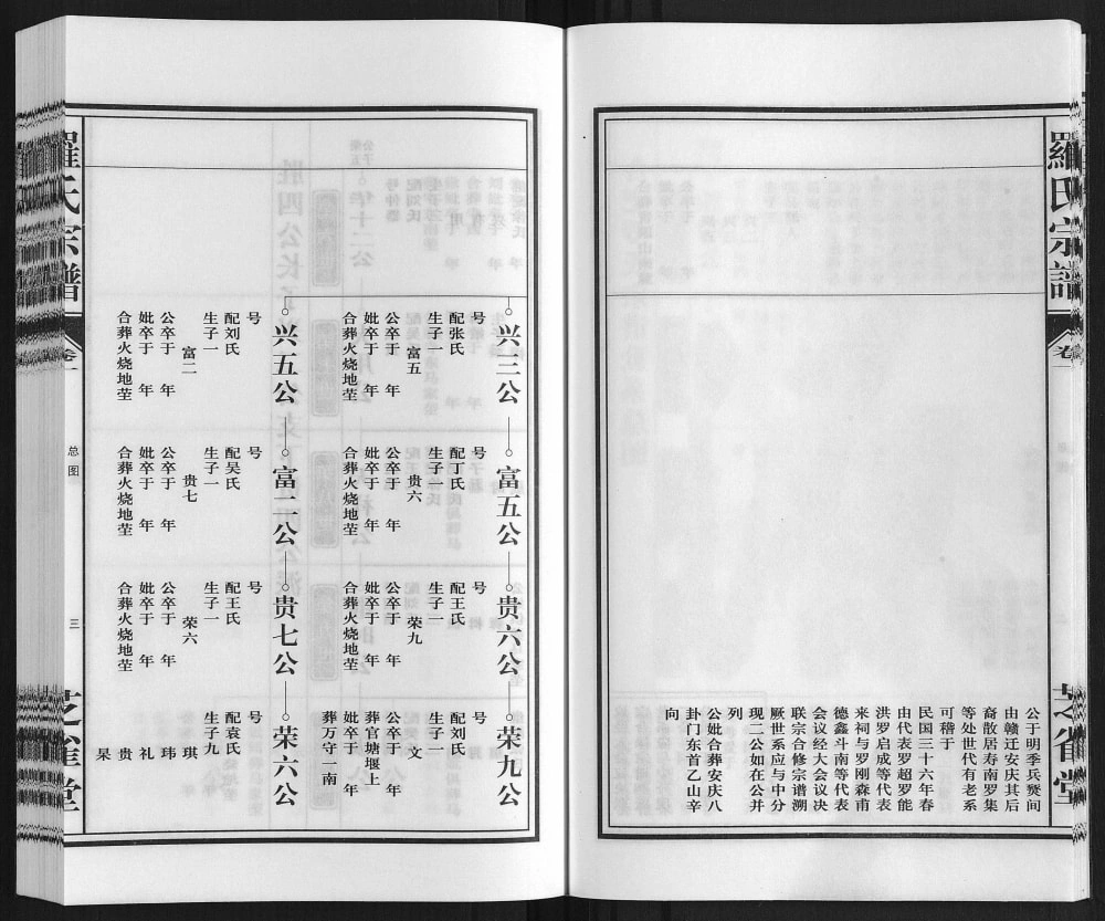 图片[6]-安徽合肥东乡罗氏宗谱（芝雀堂）电子版PDF下载-中华家谱网