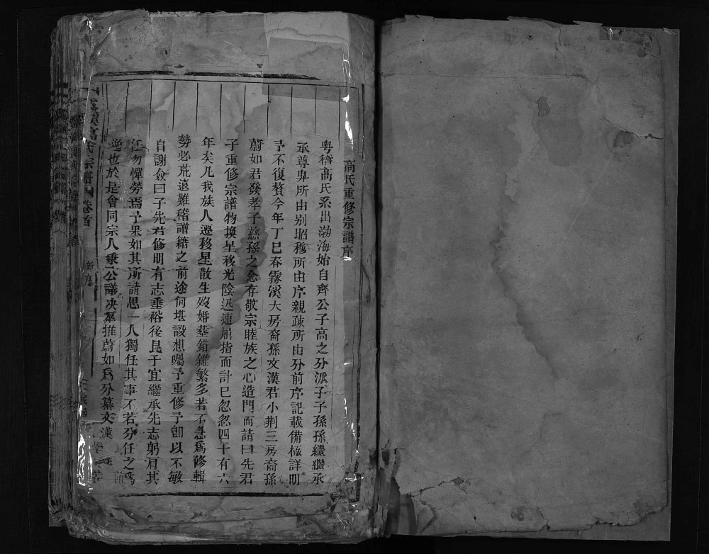 图片[1]-浙江乐清雾溪高氏宗谱电子版PDF下载-中华家谱网