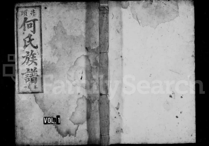 湖南资兴井头何氏族谱电子版PDF下载-中华家谱网