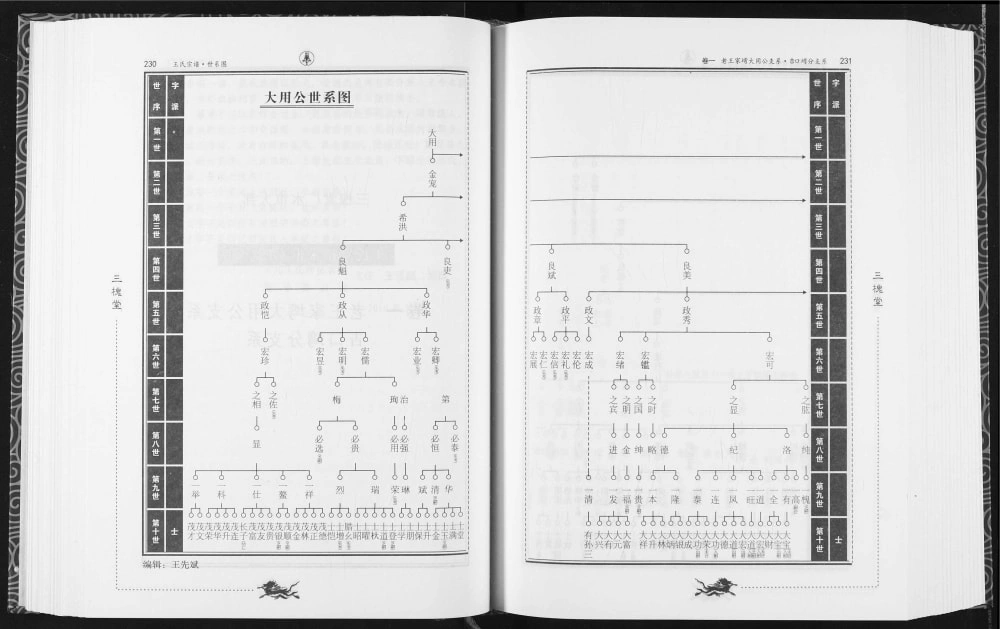 图片[5]-湖北广水王氏宗谱（三槐堂）电子版PDF下载-中华家谱网
