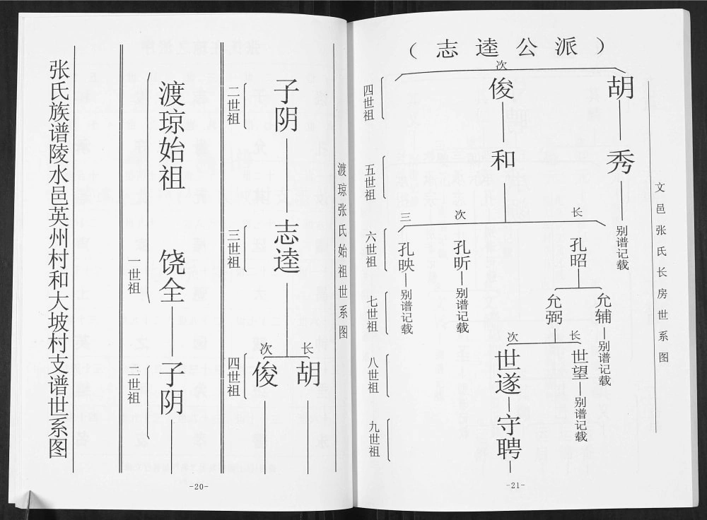 图片[8]-海南陵水张氏陵邑英州村和大坡村支谱电子版PDF下载-中华家谱网