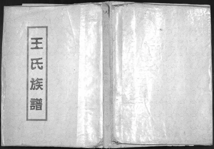 山东济宁微山县王氏族谱电子版PDF下载-中华家谱网