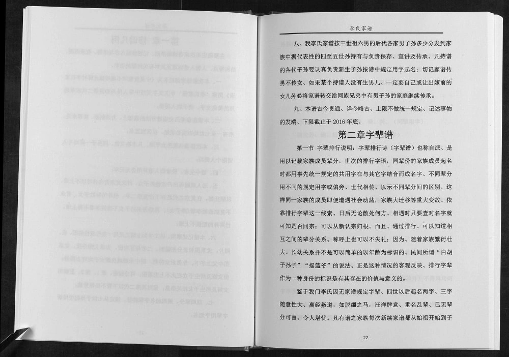 图片[6]-宁夏青铜峡市瞿靖镇光辉村李氏家谱电子版PDF下载-中华家谱网