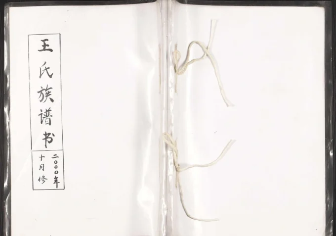 辽宁瓦房店王氏族谱书电子版PDF下载-中华家谱网