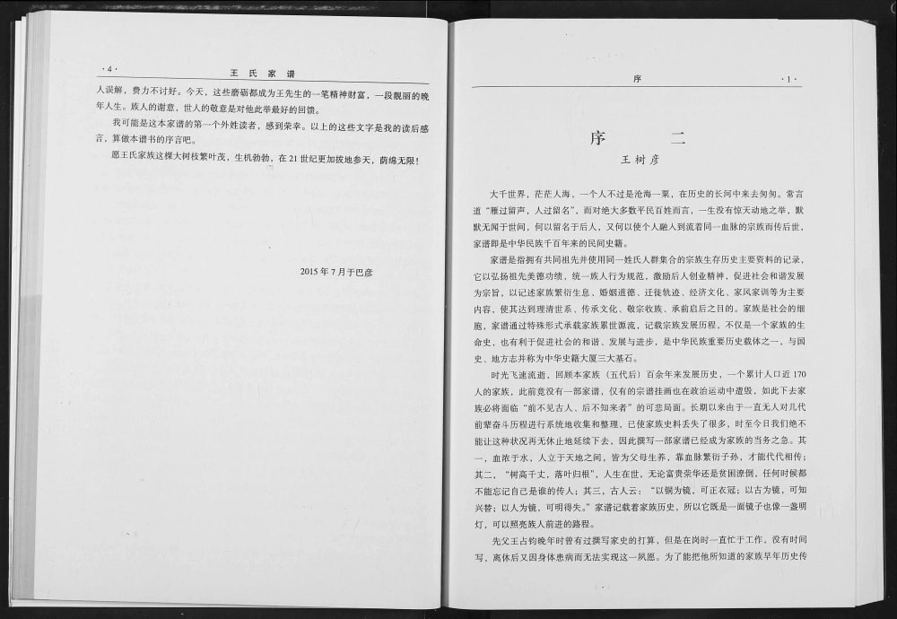 图片[3]-黑龙江哈尔滨巴彦县王氏家谱电子版PDF下载-中华家谱网