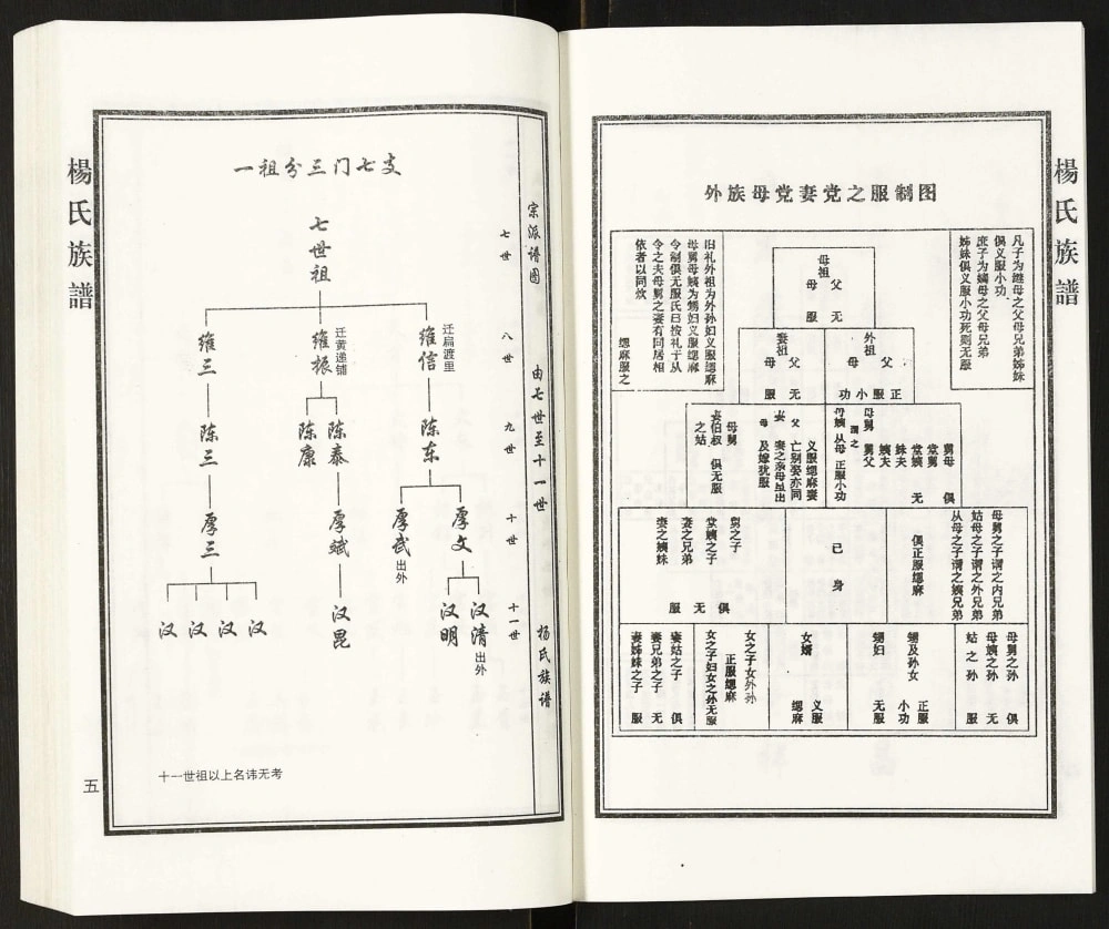 图片[7]-河北泊头扁渡里黄递铺杨桥村杨氏族谱电子版PDF下载-中华家谱网