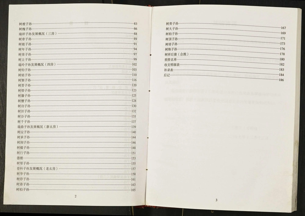 图片[4]-重庆奉节王氏家谱王清明后裔电子版PDF下载-中华家谱网