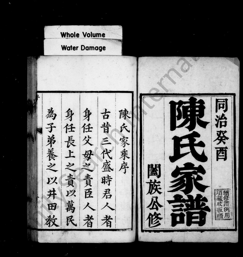 图片[2]-河北衡水冀州区陈氏家乘电子版PDF下载-中华家谱网