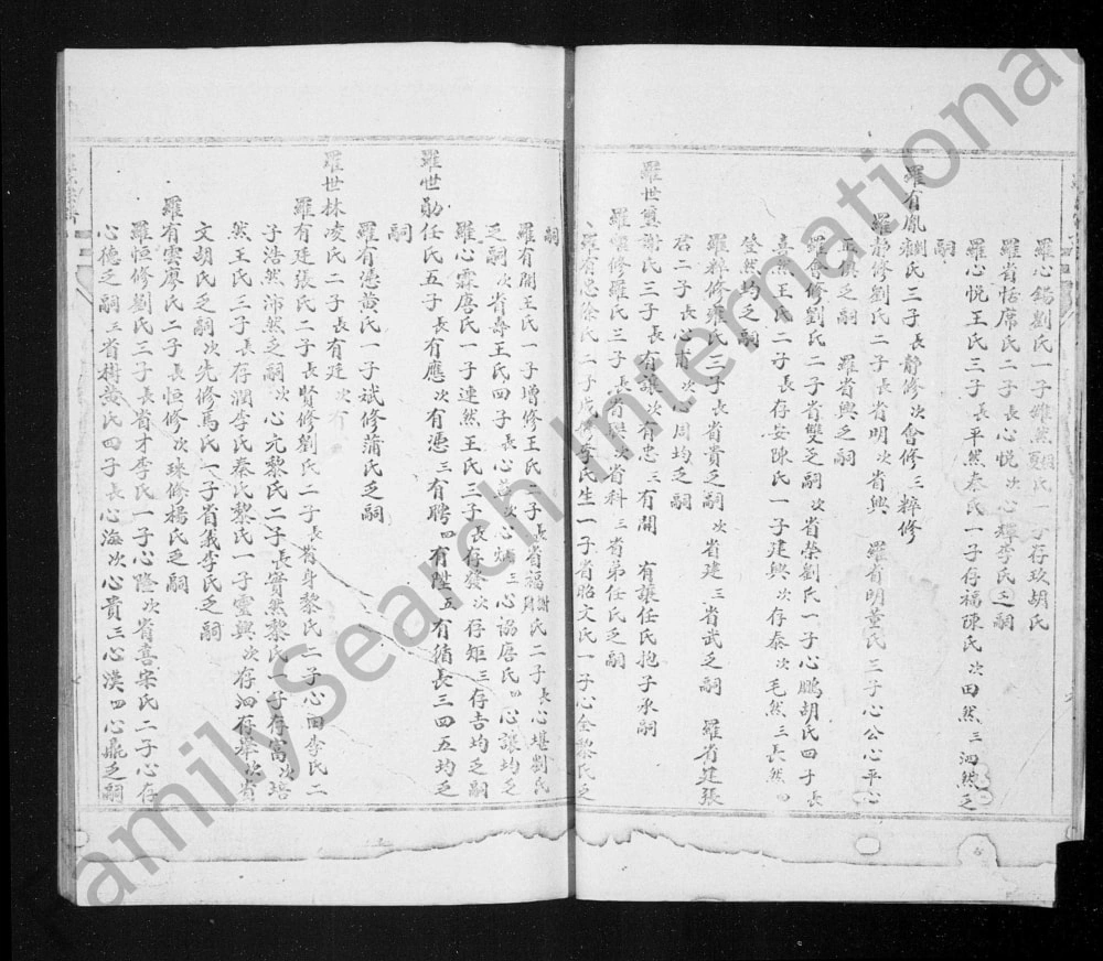 图片[6]-四川阆中罗氏族谱电子版PDF下载-中华家谱网