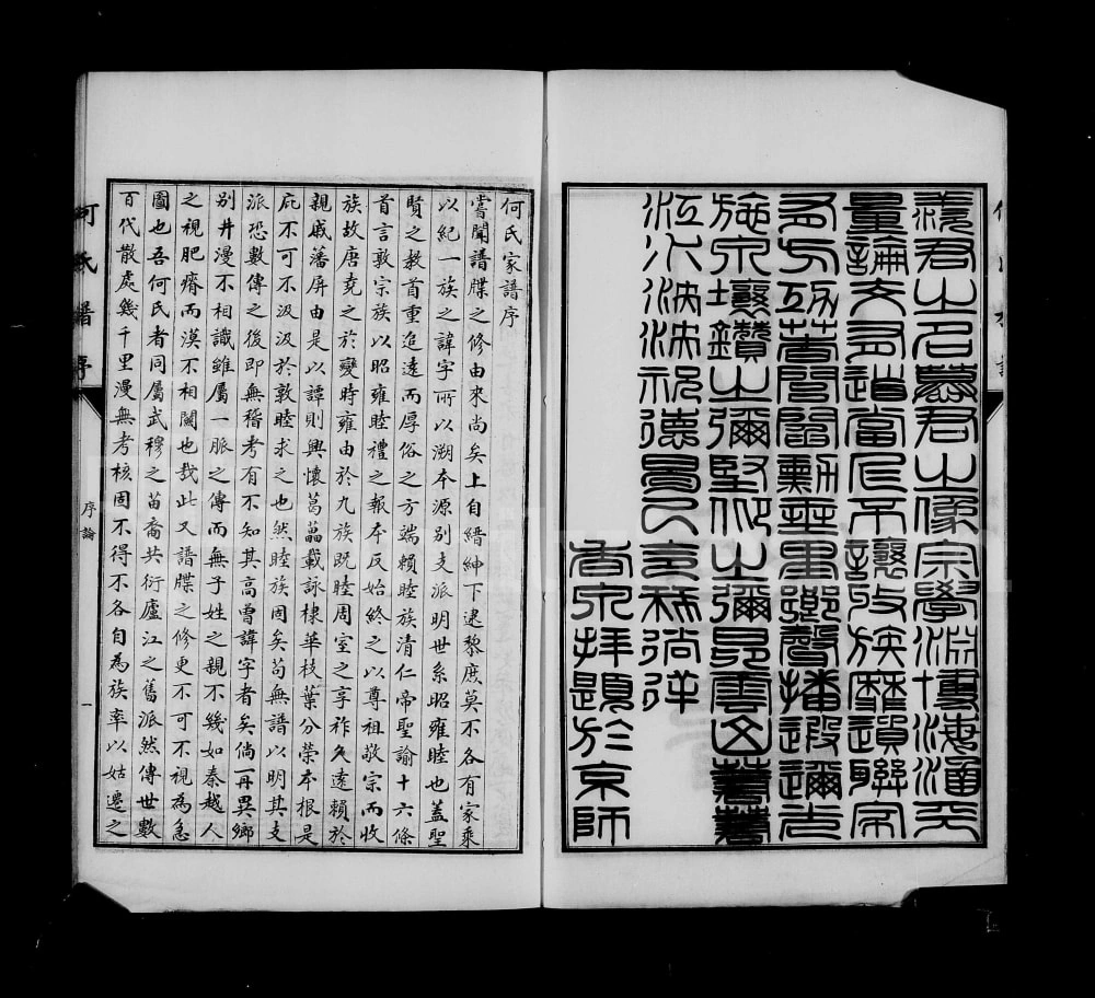 图片[1]-河北沧州青县东光县何氏族谱电子版PDF下载-中华家谱网